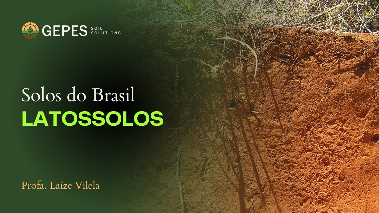 Solos do Brasil - Latossolos