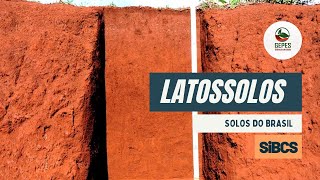 Solos do Brasil - Latossolos
