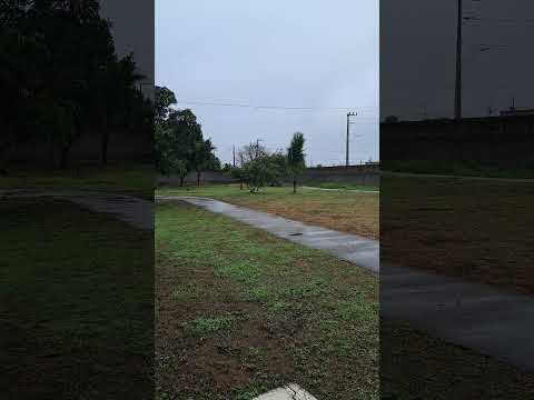 Dia chuvoso em nova satuba AL #chuva #rain #viral