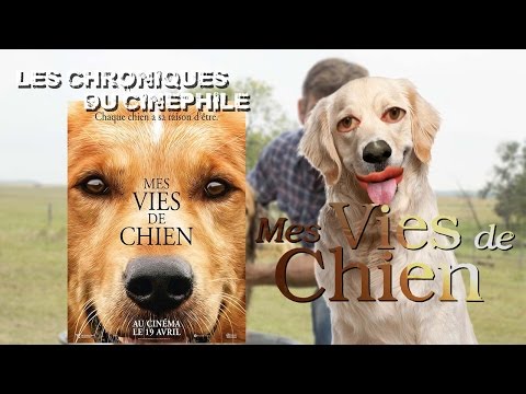 LCDC - Mes vies de chien