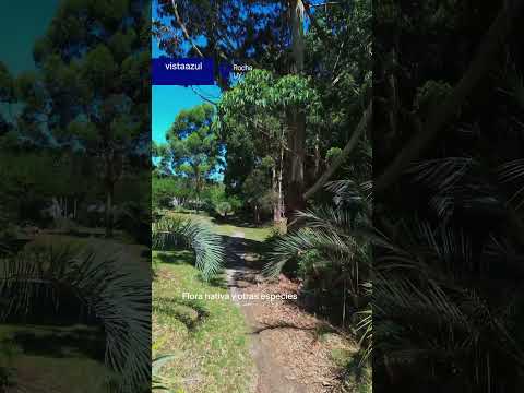 🌊 Terreno en San Sebastián de La Pedrera, Rocha 🏡