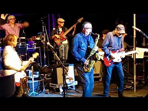 Brian Wilson - Live in Highland Park, Illinois (July 26, 2013)