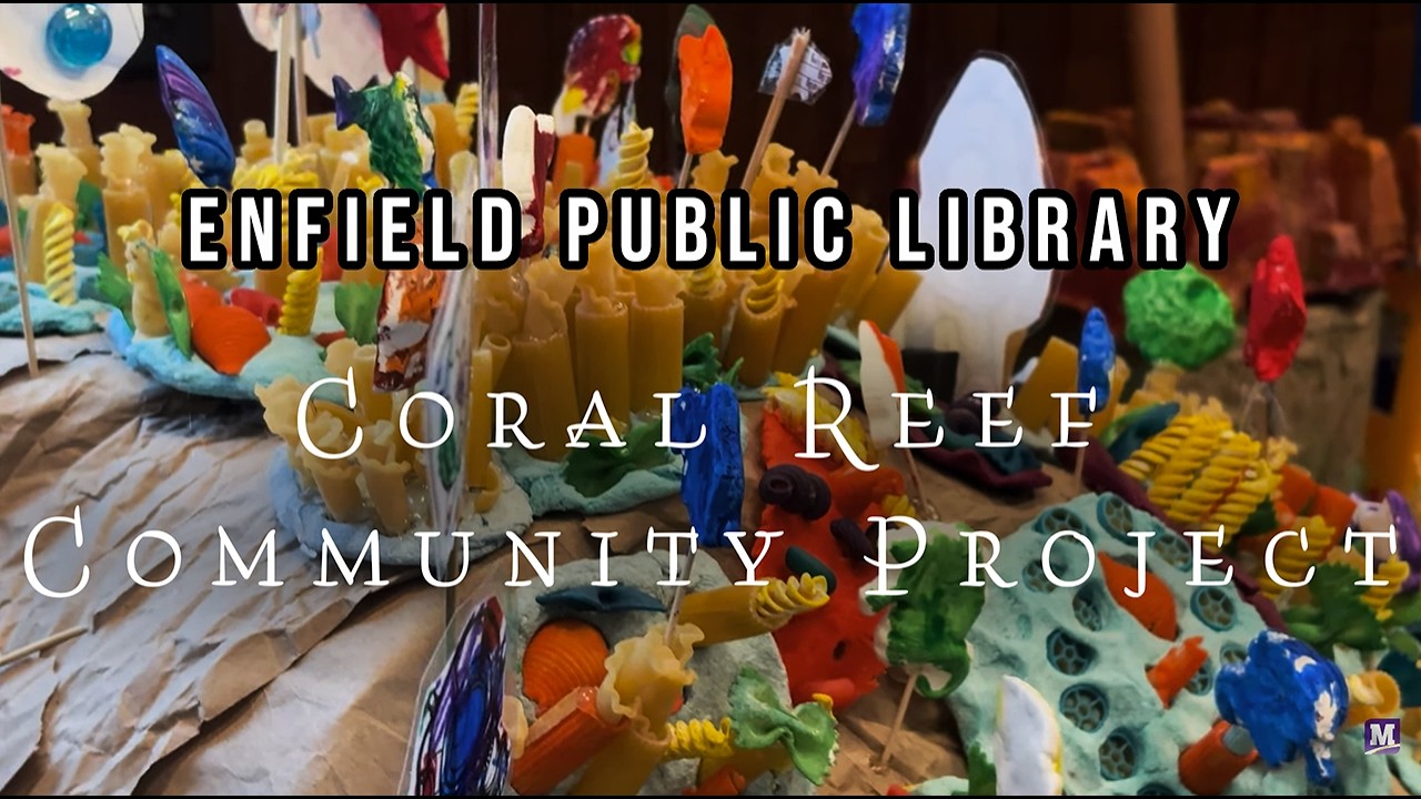 Enfield NH Public Library - Coral Reef Project