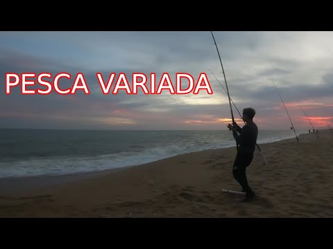 ¡La pesca nocturna más loca en Santa Mónica!