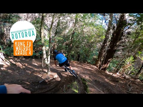 Kung Fu Walrus Trail, Rotorua - Fast & Tight & GOOOD