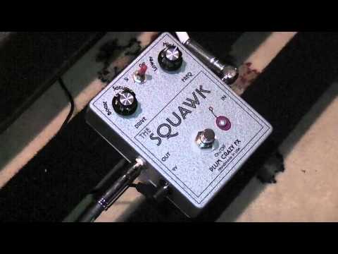 Plum Crazy Squawk Pedal Demo