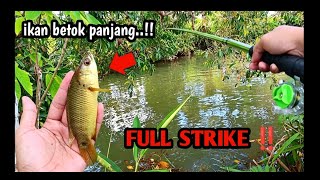 Download lagu RAHASIA UMPAN ALAMI ‼️ IKAN BETOK DI SUNGAI AIR KERUH PASTI DISAMBAR .. ‼️ mp3
