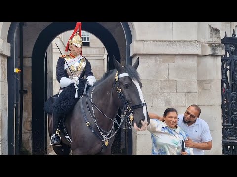 Heart warming moment ❤️ kings guard moves his horse  for blind girl to stroke #thekingsguard