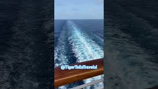 82 days till my next cruise! 🛳️