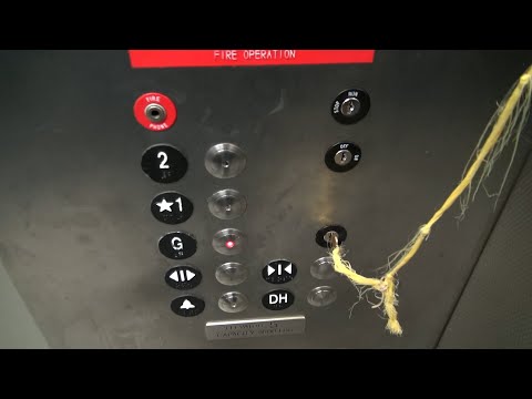 Thyssenkrupp Hydraulic Elevator at a Coffee Shop