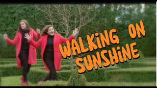 Makaton - WALKING ON SUNSHINE - Singing Hands gameplay video by sfl2, 3:32 duration