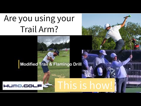 How to use your Trail Arm & Body to control your timing in the Downswing - Modified Flamingo Drill!