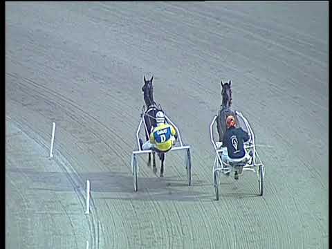 Trotto 04/03/2018 - prova di qualifica