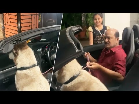 Actor Rajendra Prasad Making Fun With His Dog Maya