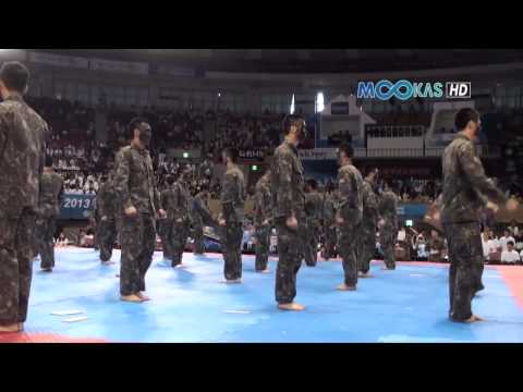 Taekwondo display by the Korean army at the 2013 Hammadang