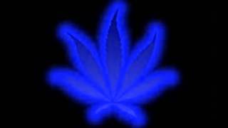 hurdy gurdy mushroom man