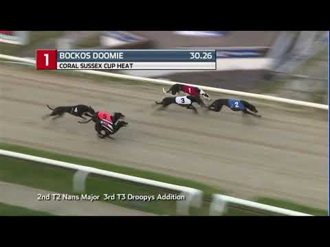 2020 CORAL SUSSEX CUP - HEAT 4 - T1 BOCKOS DOOMIE