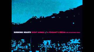 Burning Hearts - Night Animal (2009) (Audio)