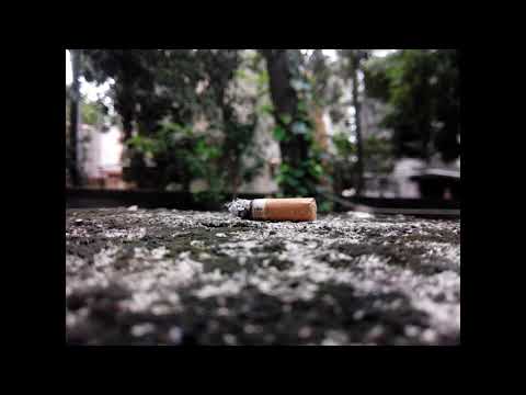 Don MJ - Fidelinó /2021/