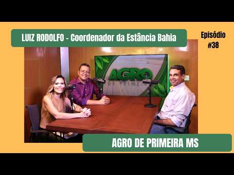 Estância Bahia eleva padrão de leilões com pesagem integral dos lotes