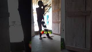 Neela and video