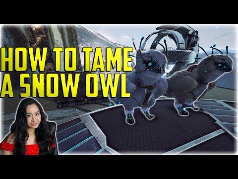 How To Tame A Snow Owl (Best Healer) & Everything You Need To Know - Ark Extinction