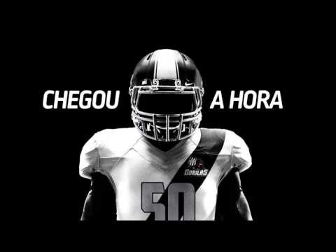 Parceria Gorilas Ponte Preta