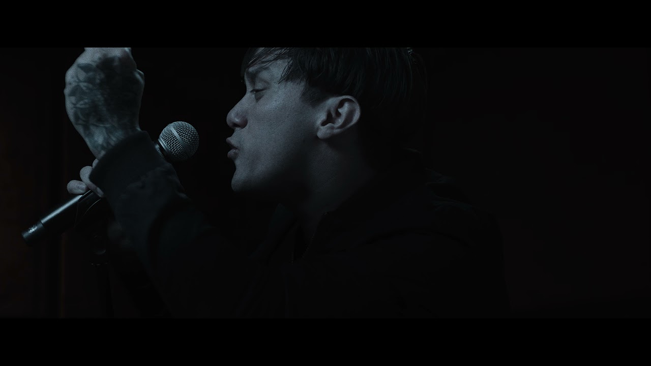 Palisades — My Consequences
