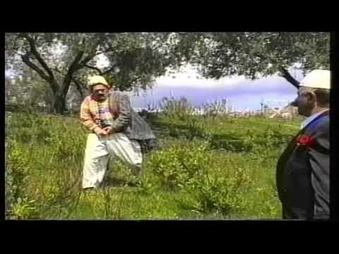 Qeflinjte - Humor Shqip