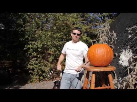 Pumpkin is Hunted & Shot by Arrow this Halloween