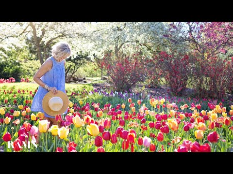 Relaxing Spring Afternoon Ambience / Birds Singing And Wind Chimes Blowing In The Breeze / 10 Hours