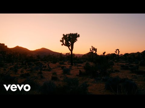 Our Lady Of Monroe - Bruce Springsteen