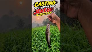 Download lagu jerebu Kalimantan sampai Sabah❗ #casting #haruan #gabus mp3