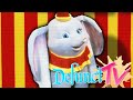 DefunctTV The History Of Dumbo S Circus