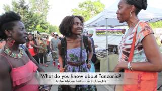 Interview w/ a Brooklyn resident about her connection with Tanzania at the African Festival