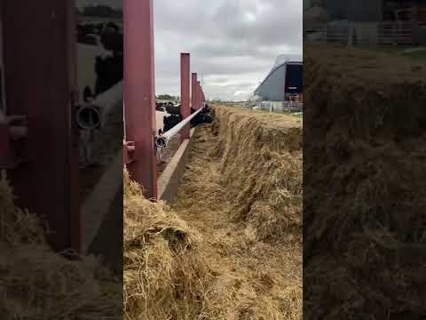 Farmer Phil for the sprint farmer Shep for the marathon