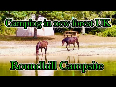 Roundhill campsite new forest  🏕️ ||camping in new forest UK||🏕️⛺️camping in Uk forest 🏕️