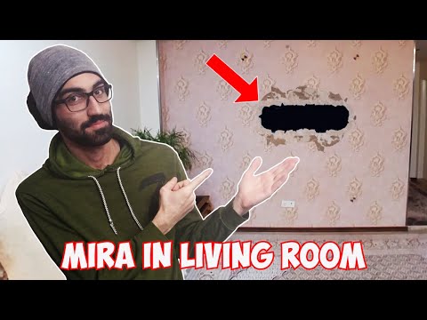 There Is A Mira Window In My Living Room!