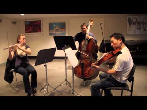 Bateira Trio: Fifteen-Minutes-of-Fame 28JAN2014