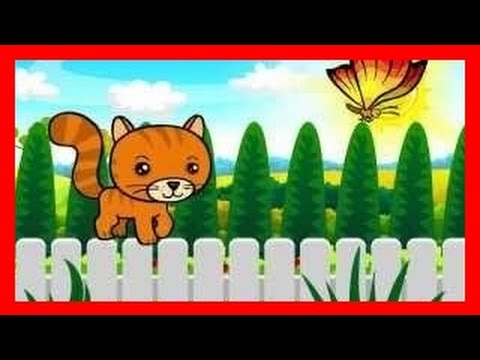 Wlazł kotek na płotek BZYK.tv