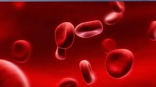 Istologia 15 - Sangue (parte 1)