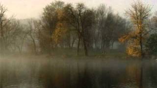 Fall Of Efrafa-Woundwort PT1