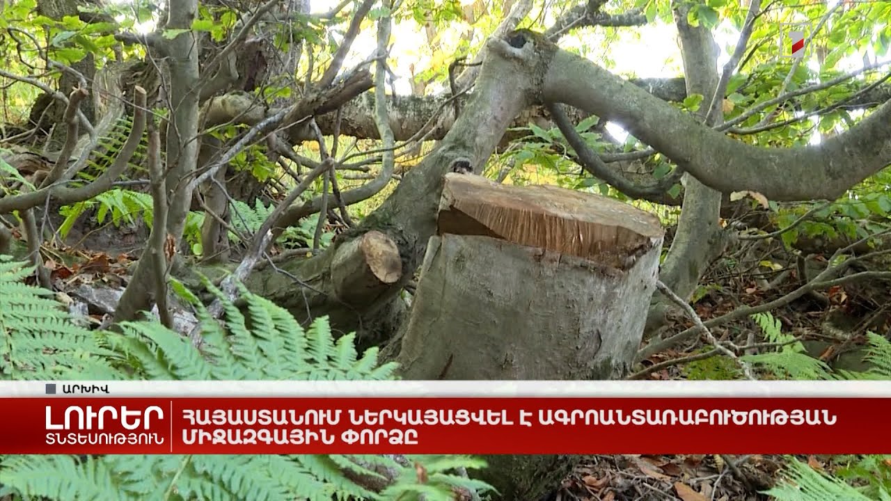 Հայաստանում ներկայացվել է ագրոանտառաբուծության միջազգային փորձը