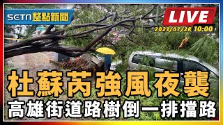 杜蘇芮強風夜襲 高雄街道路樹倒一排擋路