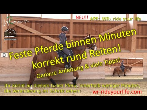 F182 Learning to ride horses in a round, collected, and balanced way. Rider aids explained in det...
