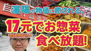 瀋陽の物価に癒される。17元でお惣菜食べ放題！