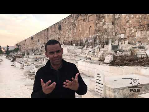 Monte das Oliveira -  Portão dourado