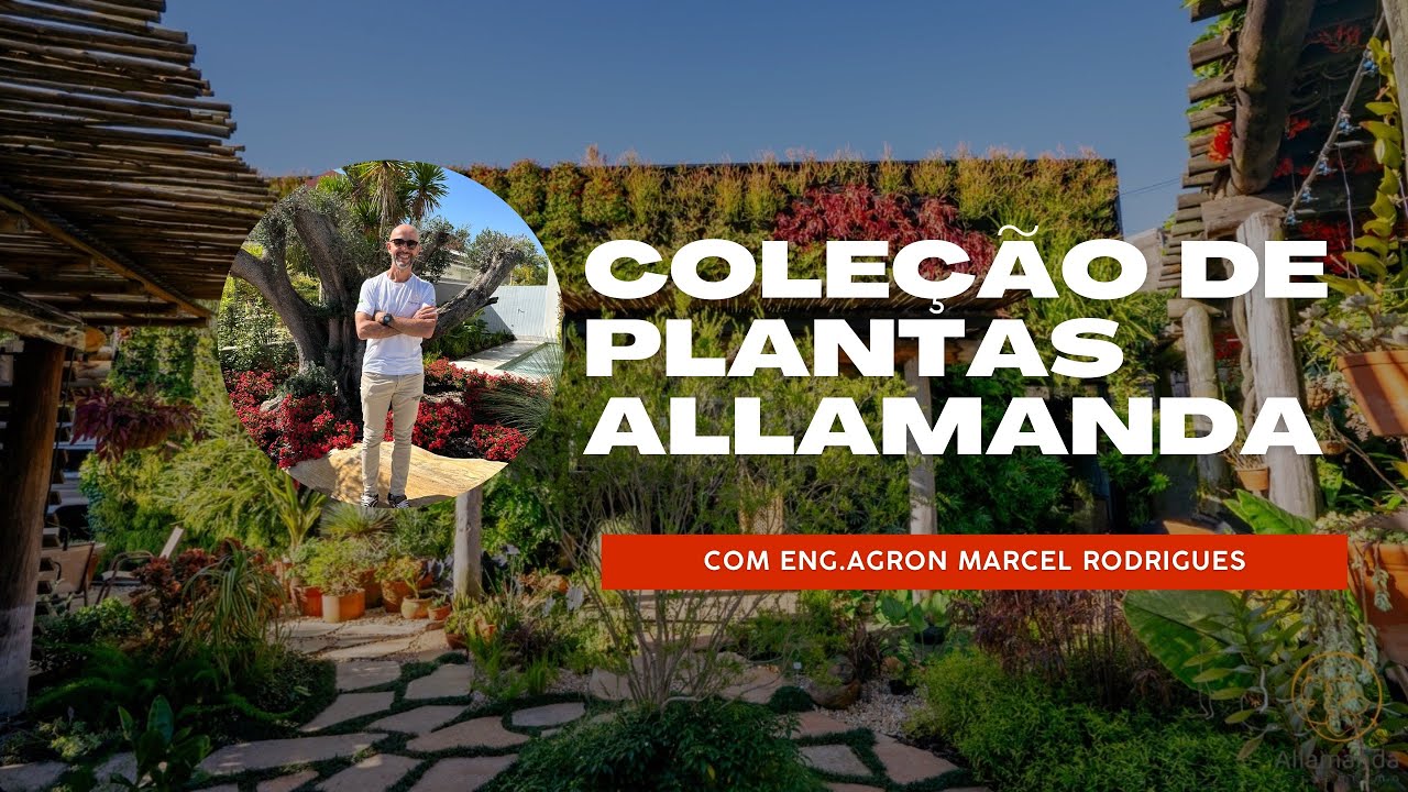Ep.3  - DESCUBRA A COLEÇÃO DE PLANTAS MAIS ENCANTADORA QUE VOCÊ JÁ VIU!