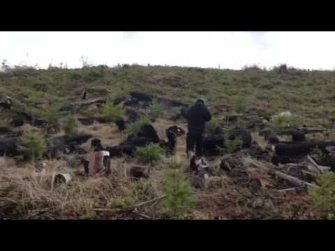 Standing skeets with Benelli supernova