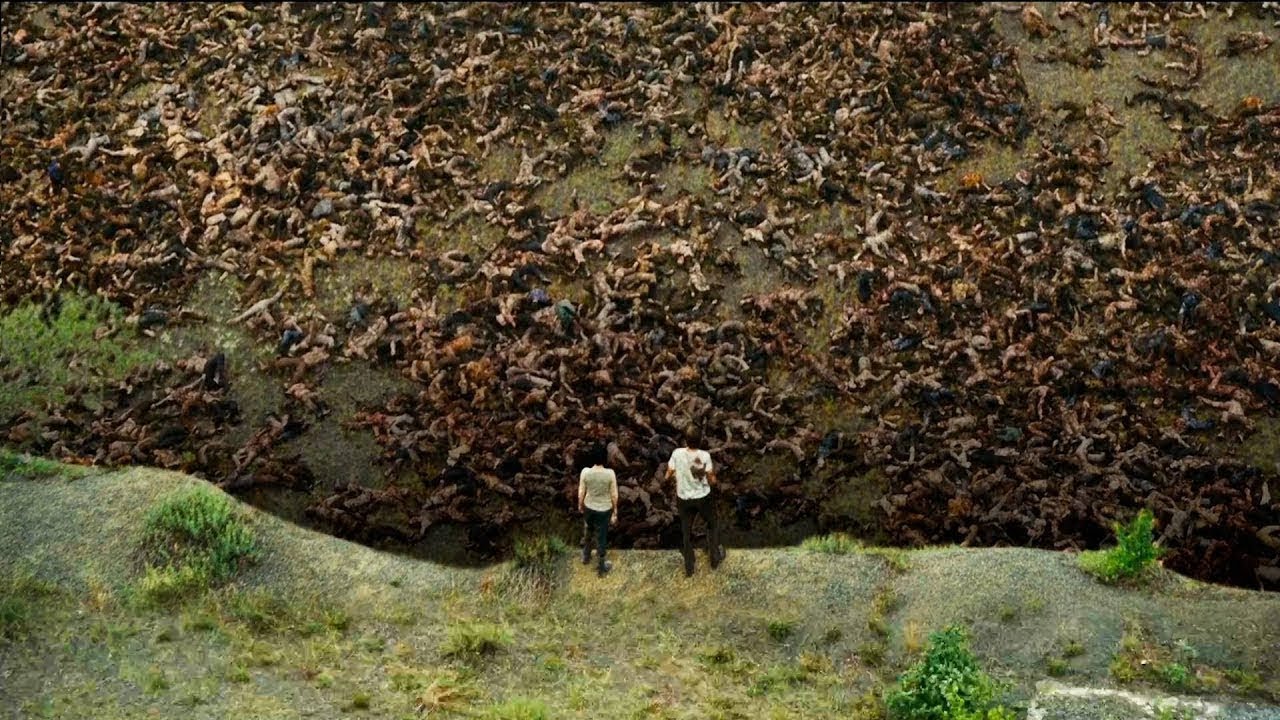 A Humanidade Está Infectada Com Um Vírus mortal, e o Mundo se transformou em uma Enorme Cova